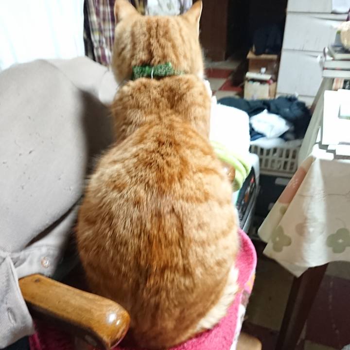 4fd0e694 af99 462e ac2d 6514a29a79ac 1582106146617