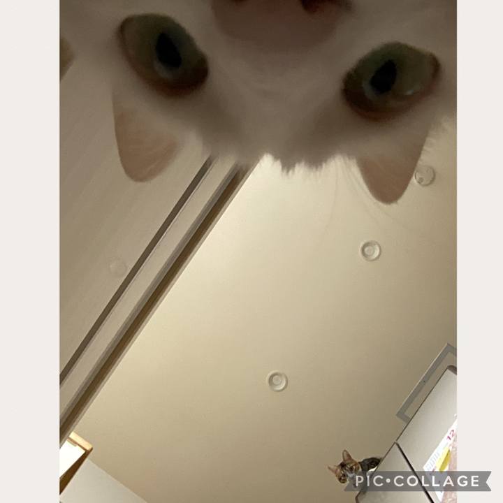 4fd0ebe2 f635 45a9 94fb c106f075fd09 1670207195969