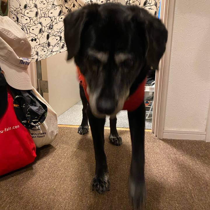 4fd0eedf 6d46 4353 b5e7 71610e3b5f5c 1736423791532