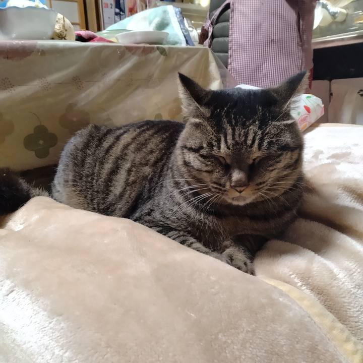 4fd0fd8f e07c 4e38 b041 a3947a5b4336 1704881739435