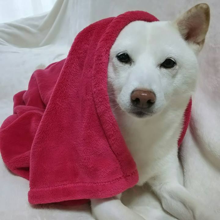 4fd10e4c 80e0 4384 9833 b6f7a527c94b 1575674781415