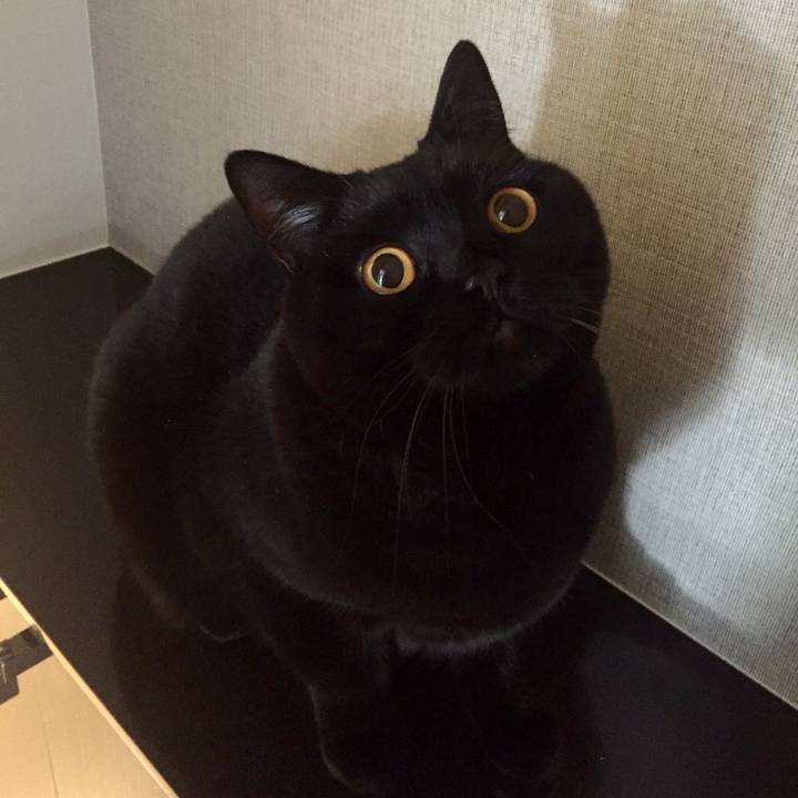 4fd12324 56b9 4567 bfb3 c0548db5d18d 1547301827920