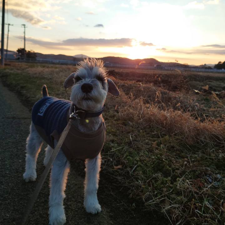 4fd1780c ad84 46cd 9d56 1e01bf154e6f 1767050715233