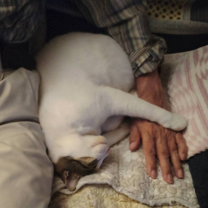 4fd188ae d1ee 4973 bb8e 5b73d0e377d7 1729264485868