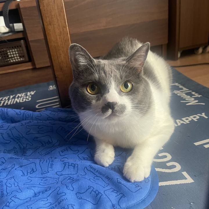 4fd18e0d b94a 422a ba6c 9af7cc13bc5b 1724457955922