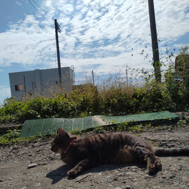 4fd19cd6 9159 4312 b7c6 936d3c72d032 1665886312141