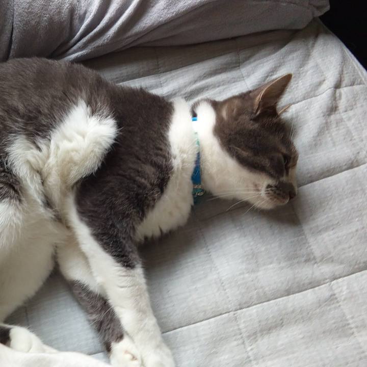 4fd1ac75 7f69 444d 9e7b 2d73962a0013 1624148679920