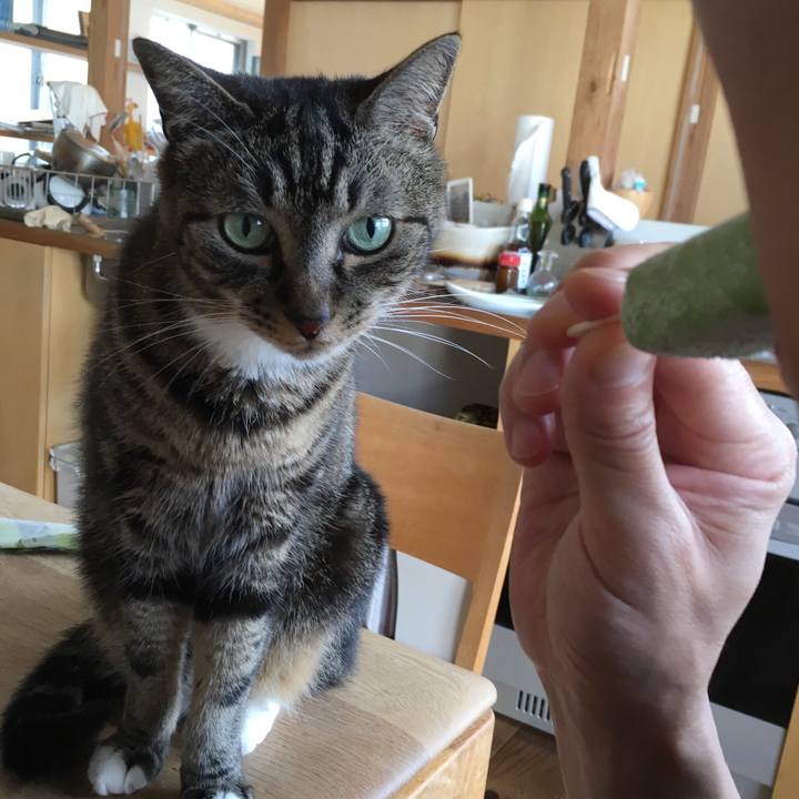 4fd1ec3f 31f2 4c2f 9d39 4b4b4229832e 1532129992250