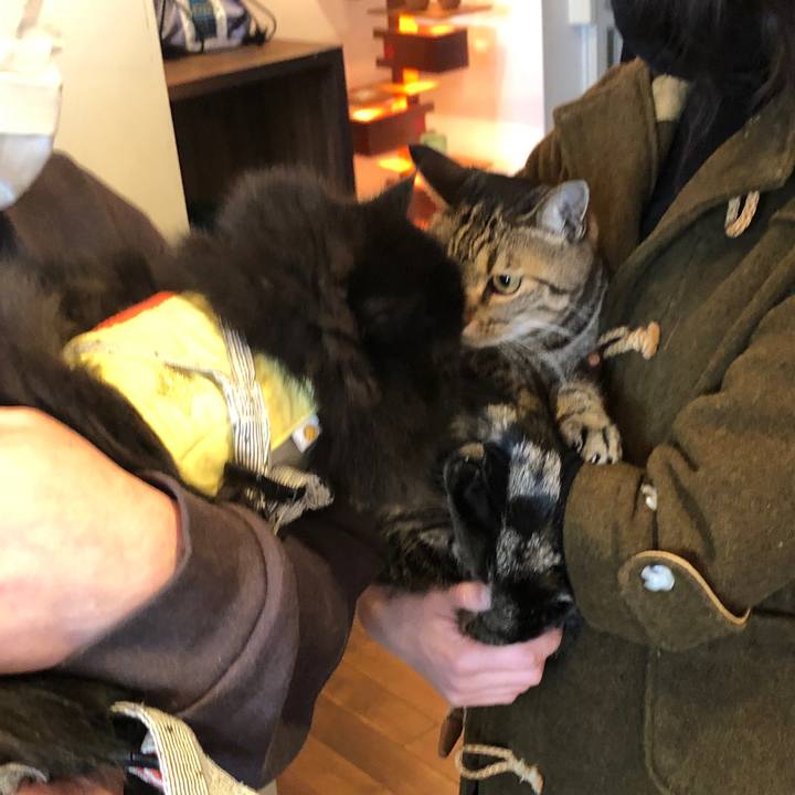 4fd1ff39 3881 4fd7 9940 6e2df52ed831 1638690189717