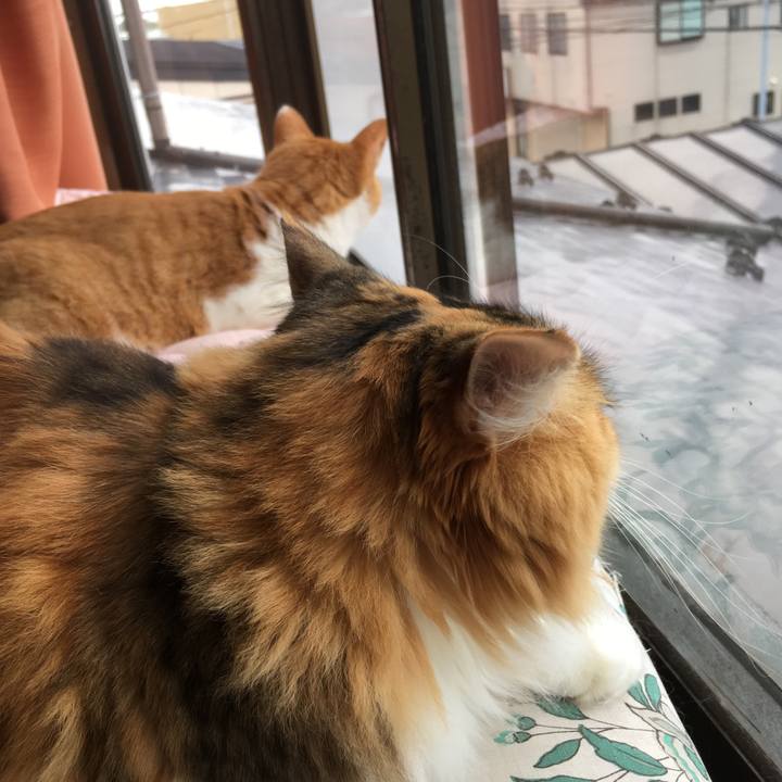 4fd2376d 33a3 4325 96f5 9d35119b43b8 1571399850247