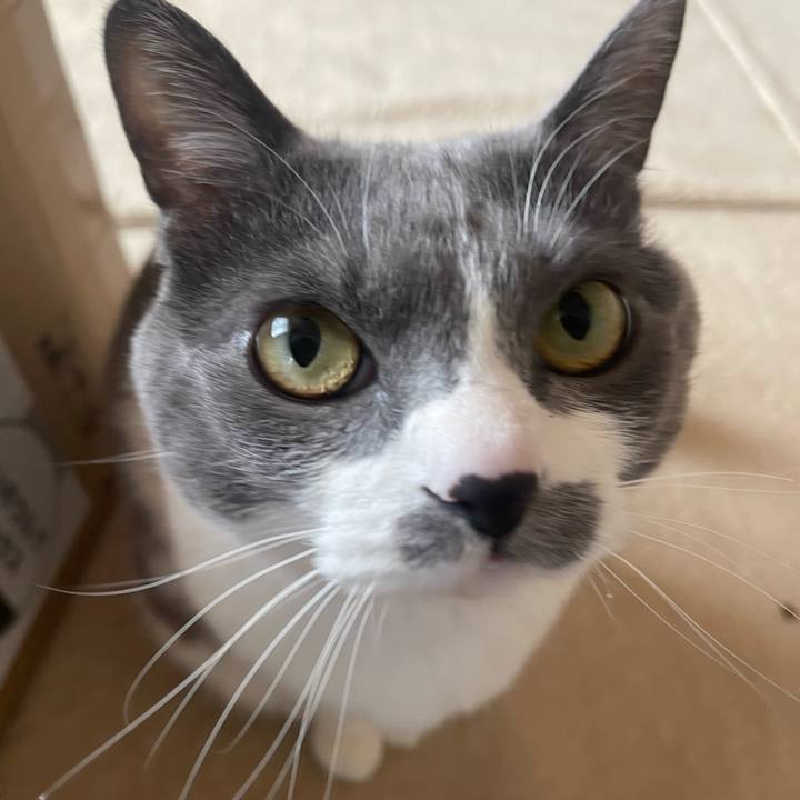 4fd299f5 bc2e 496e b62c e3cda0e2a5b4 1743290897217