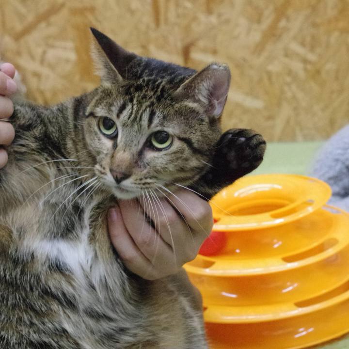 4fd2b68f c8c5 4f7e bb8e 375773623f4d 1556409185255