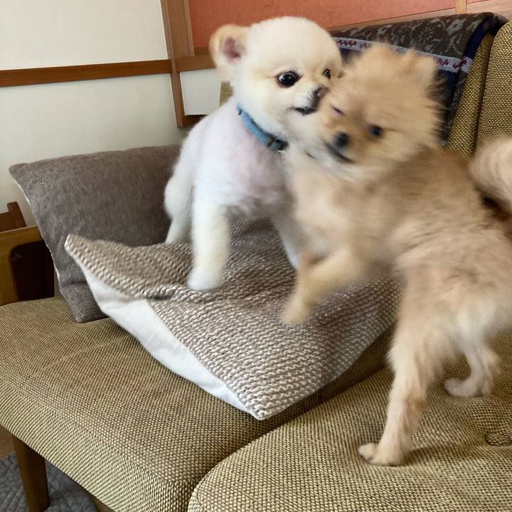 4fd2c694 ee55 4009 876a 6a4bc35ab5ac 1641704073958