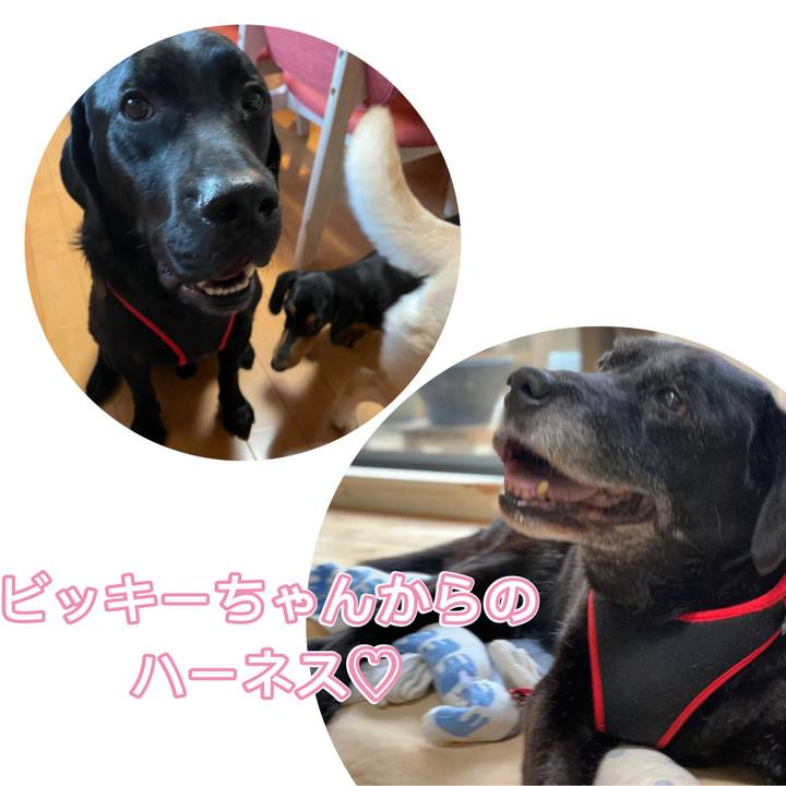 4fd2e2ea 5463 482c b58c 3c59c2c0c3a4 1667030558234