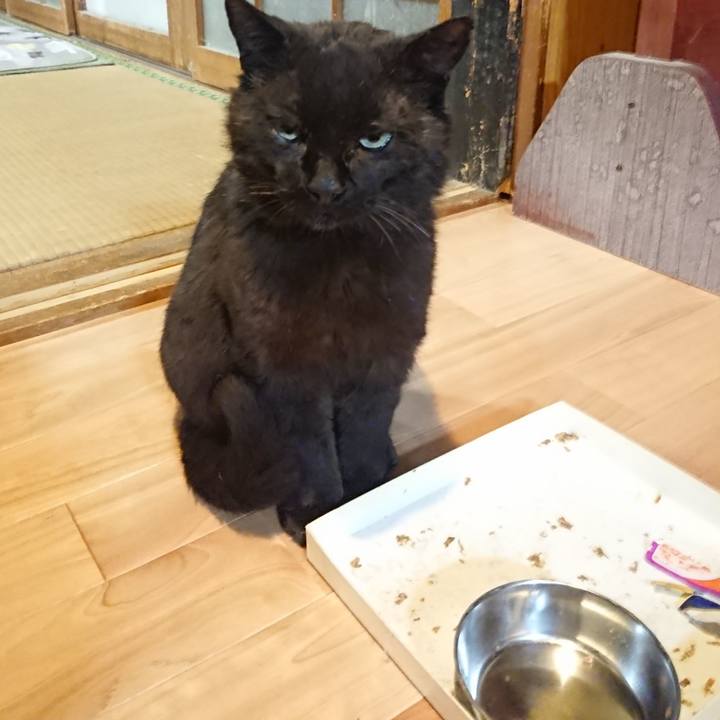 4fd300f9 4194 45cc 9e55 7e637199c2f0 1621768236179