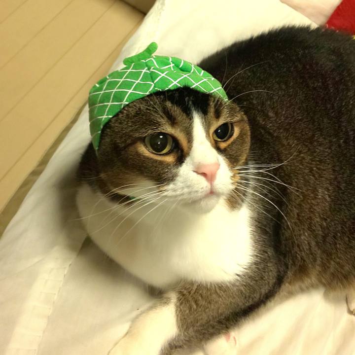 4fd33dbe 6a77 4687 b6a7 fd51a7c2fbd7 1674651288677