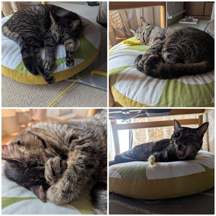 4fd3743c dab1 43ee b40f 61ef8e7558a7 1747461101786