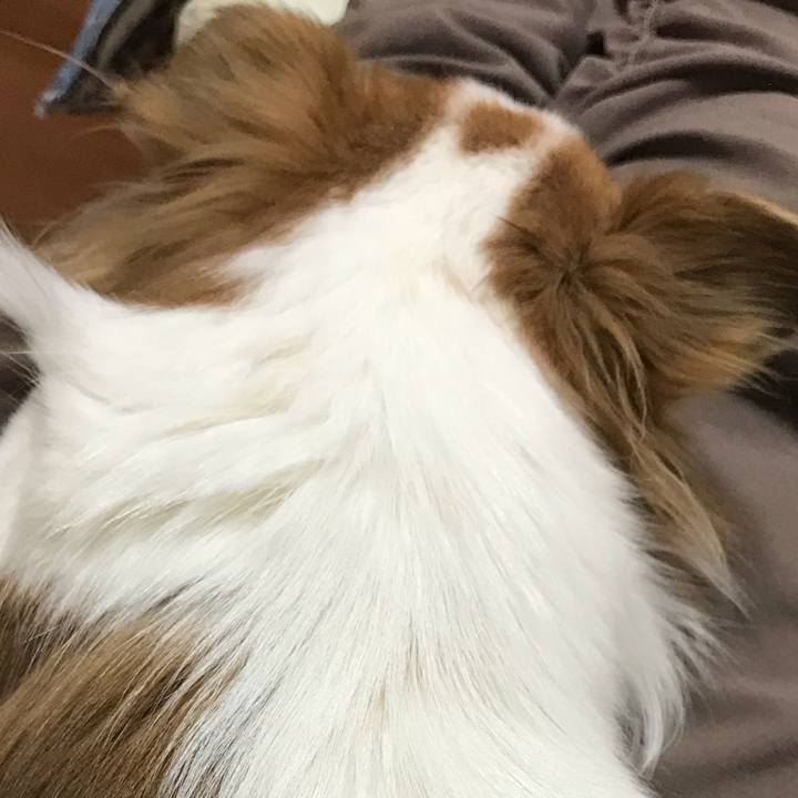 4fd37f43 44b6 40a6 8d63 d6b3c386e1d6 1546214128177