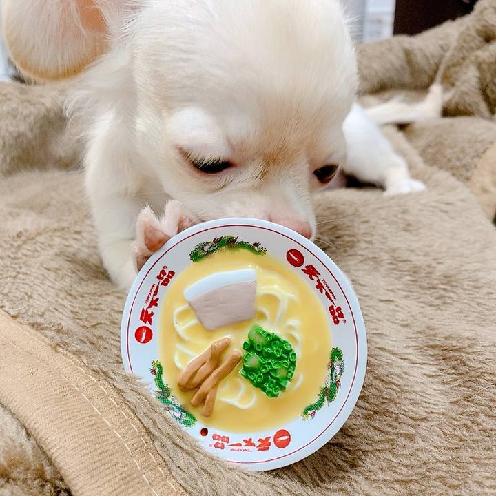 4fd3833d 6ccc 46f1 bb13 152e80bba875 1592789201590