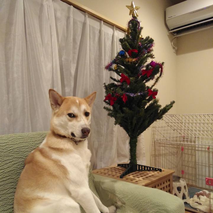 4fd38481 0957 45ff b3c0 46c74f792c03 1544521218795