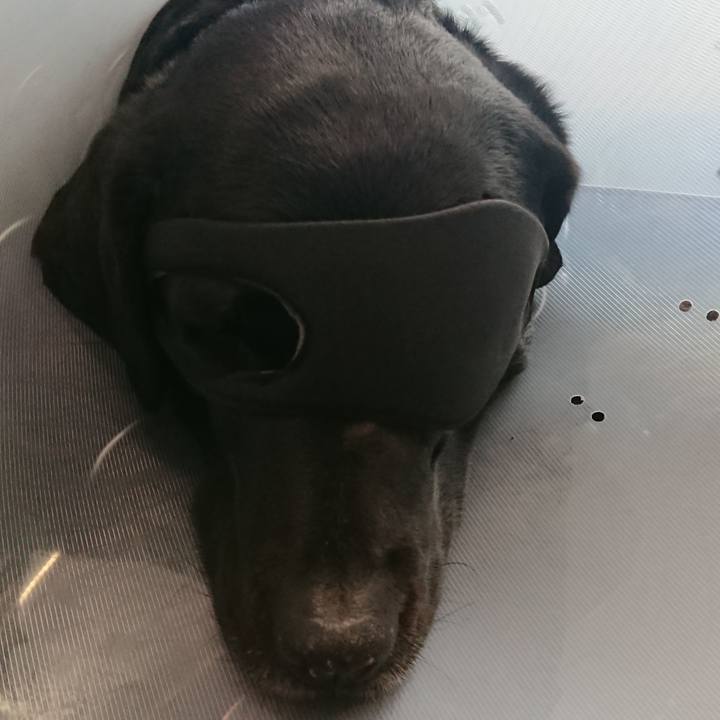 4fd3cce1 4501 4a37 8537 70a39d773c6d 1673530984766