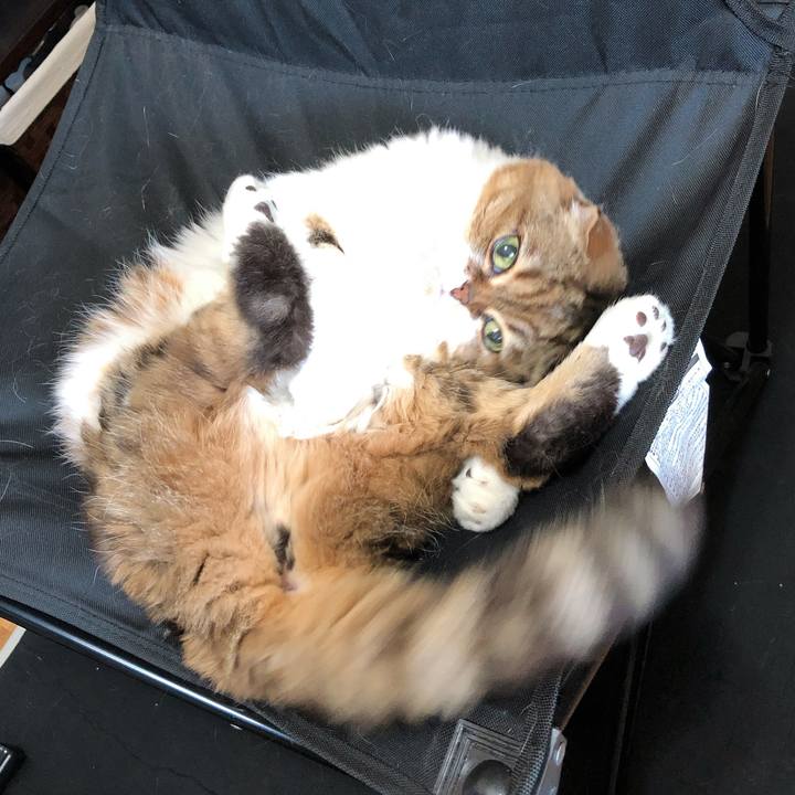 4fd40583 73b4 4c6d 9157 90becf08147b 1560959754650