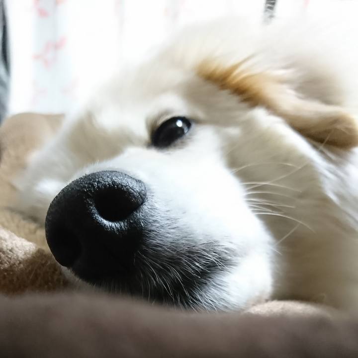 4fd41da5 361e 47a3 9dc9 b99e83e083d1 1524859575378