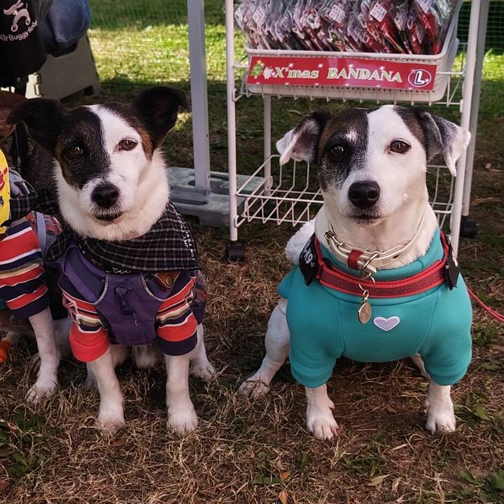 4fd433c0 82ad 445d ad87 8bb7d100be55 1763288669399