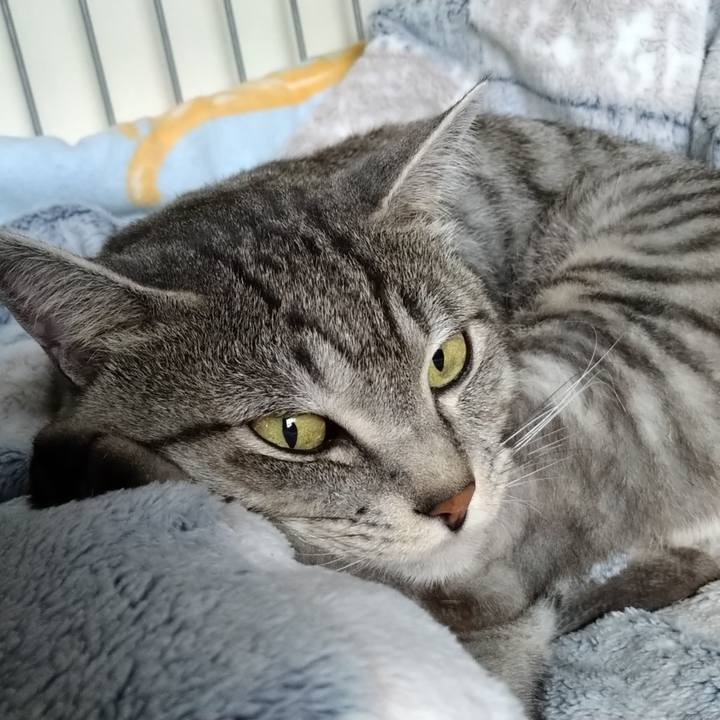 4fd43b9f f885 4ca0 81a2 26ca1d280454 1602546908831