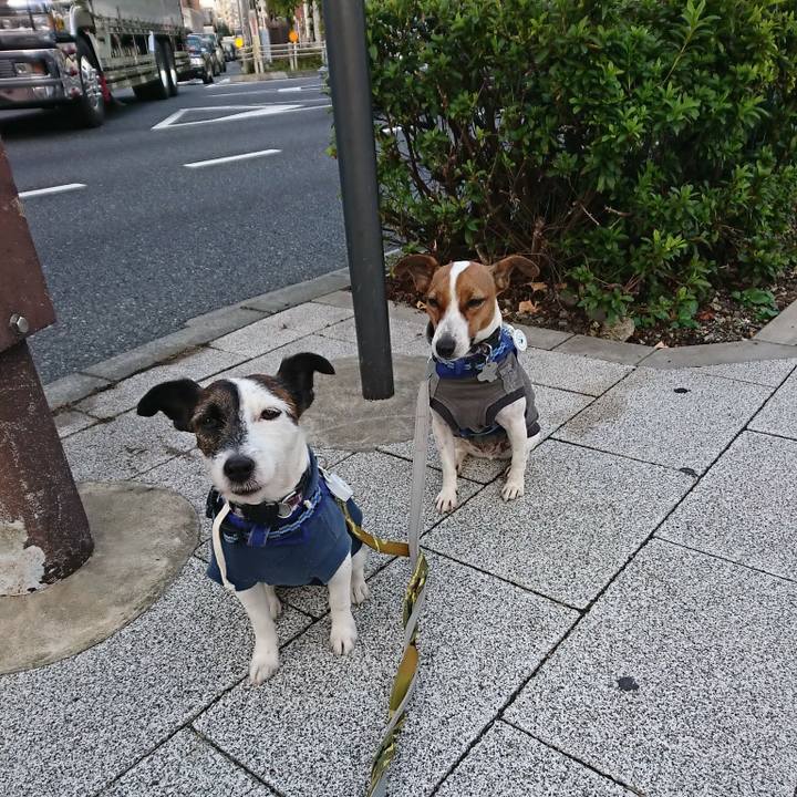 4fd45969 799f 481d b6f7 ce4e1d44c0d5 1540505550174