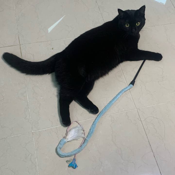 4fd4b47b 0271 4b9f b069 0b1914574951 1602385523268