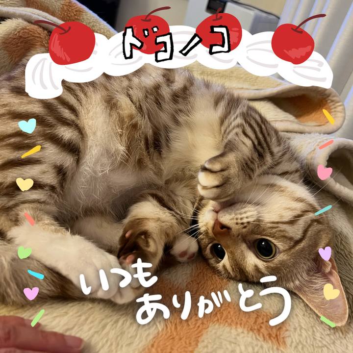 4fd4e377 797c 45e0 a411 df193636b607 1685936301390