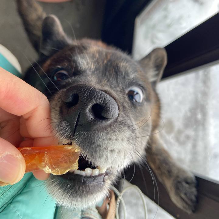 4fd51968 89c6 4b68 8bc0 12db9e5333cd 1610319258378