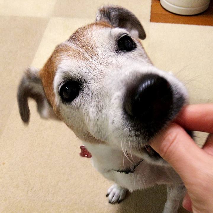 4fd526ff c515 46ae 8d29 ebd449e1b065 1594848195911