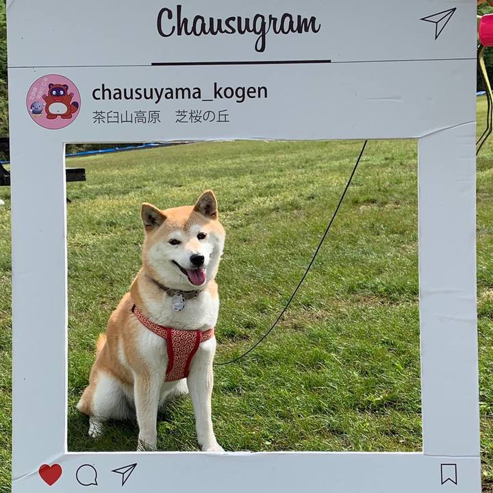 4fd5595f c964 4c1c aeee 2e6f88fcbb9f 1559440552708