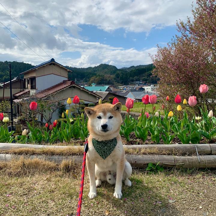 4fd57d84 be8e 4f10 8c8a 43fa1c840b7a 1680951846508