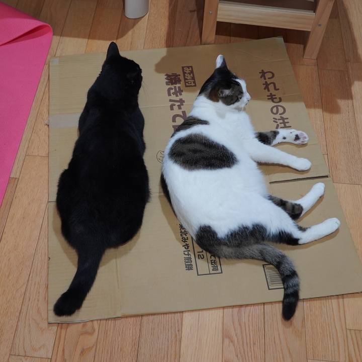 4fd59feb b6c5 4a40 bd06 3474899d4d09 1617110948825