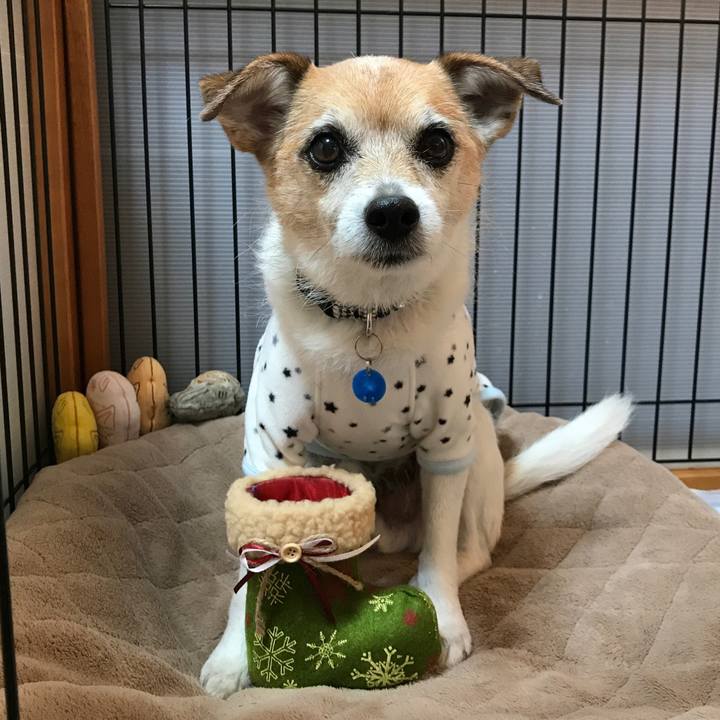 4fd5c4af 1377 4810 b478 c7075ec09ef1 1640354522276