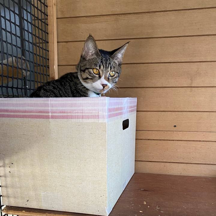 4fd5f6e8 896c 4793 92bf 5a654f7cb822 1635382093960