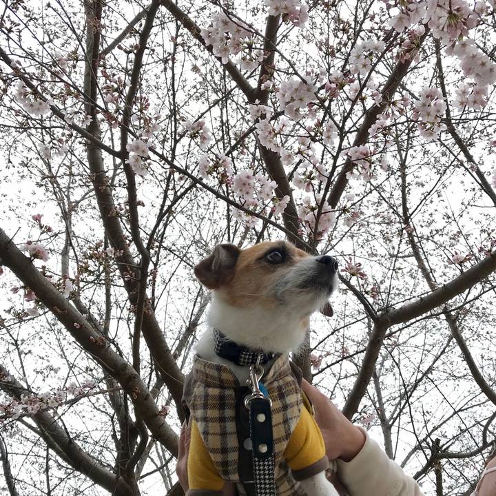 4fd600d6 610c 41e9 8058 927a57bb6836 1553327926490