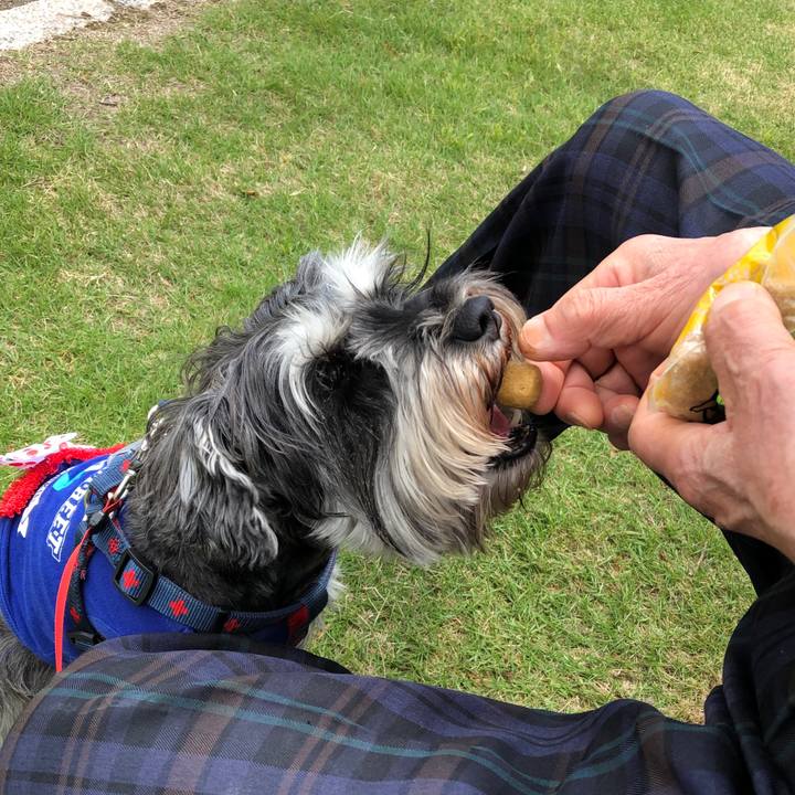 4fd6053b 2d46 4bdf be63 a99fcf45297f 1622368121764