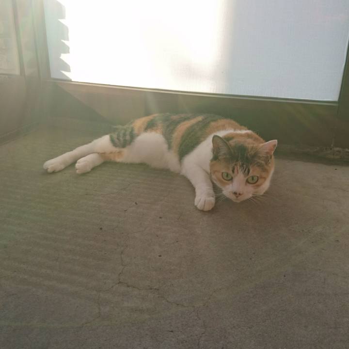 4fd6263f 4b15 45a6 b799 a7ae6fb5175b 1557579428422