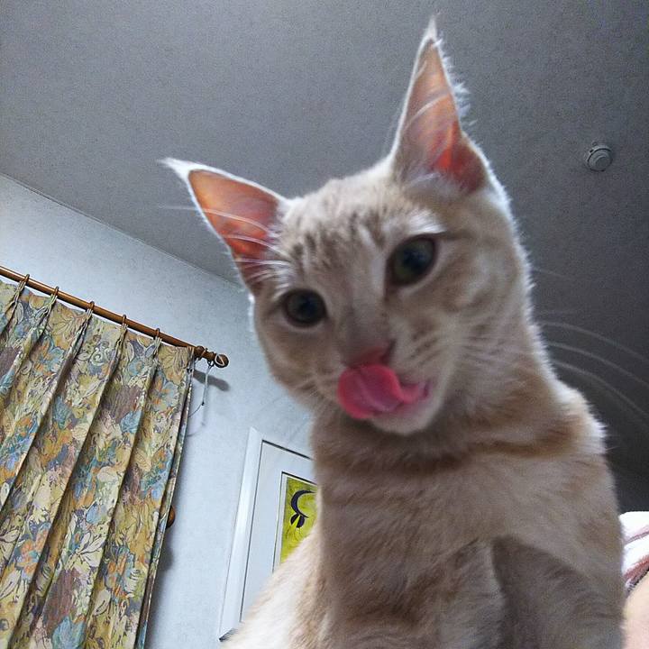 4fd633cb f072 48ed 80d0 bc536b4ab717 1544096273742