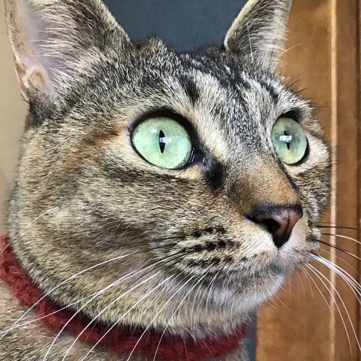 4fd6368e 74b9 4456 b245 f86901e8d16f 1641942808799