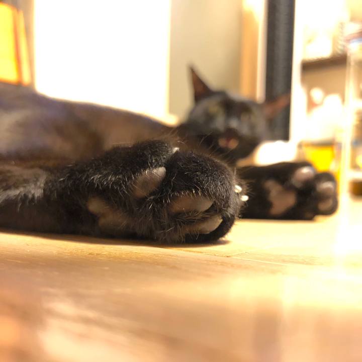 4fd63758 19a0 4a3e 85ee 2660505227aa 1527594165260