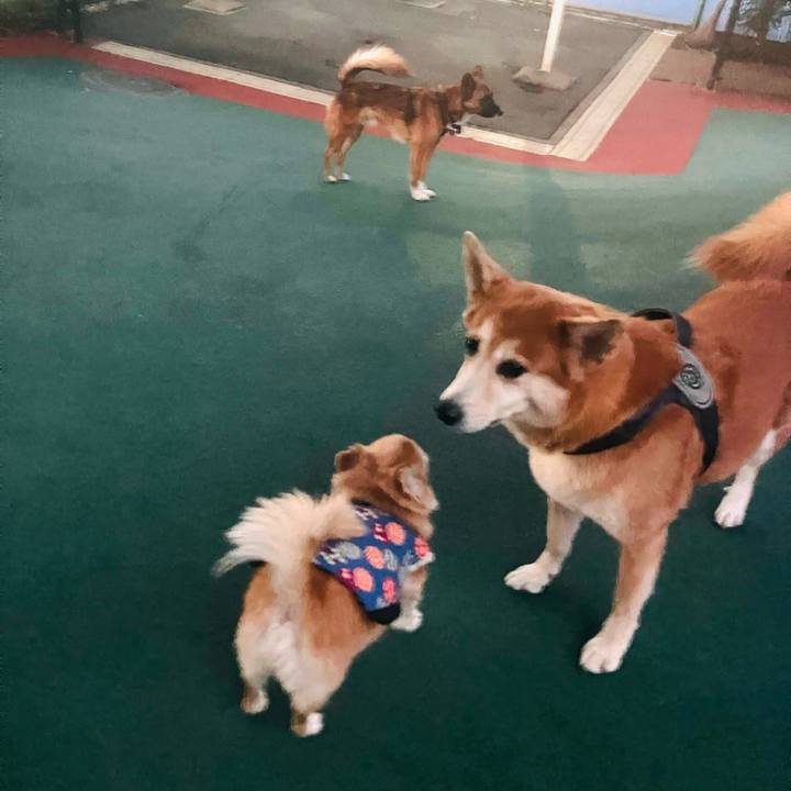 4fd6515c 6ba6 411f 9ffd 59fcf7a55497 1763024298640