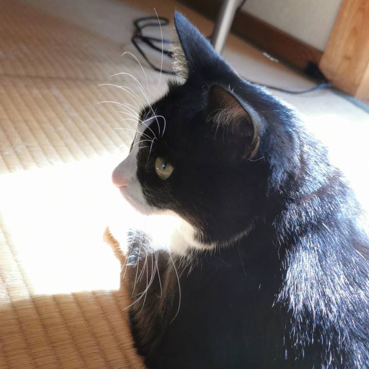 4fd65c13 ebf9 4435 98cd 51a38ec004f1 1633492098457