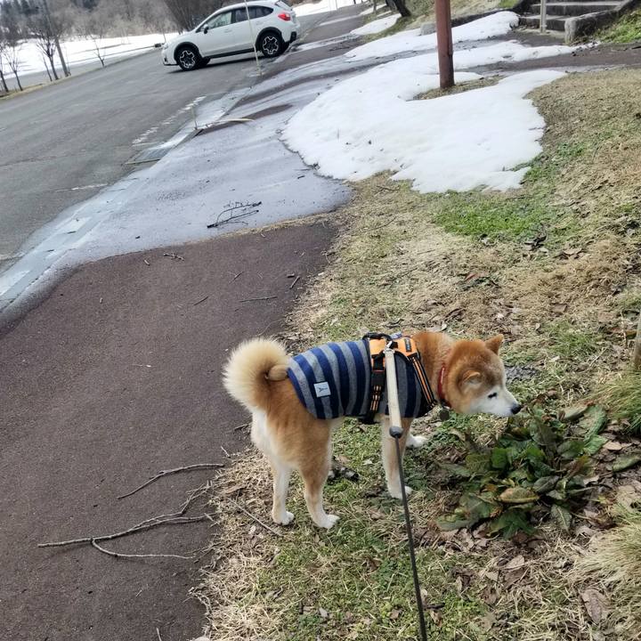 4fd66faf b63a 4d29 8e5f c41d064d1219 1711508514535