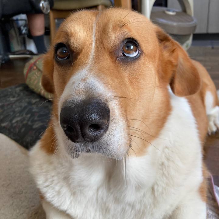 4fd67a5f 108e 44c2 ae3d 4bb43e78370e 1692316213680