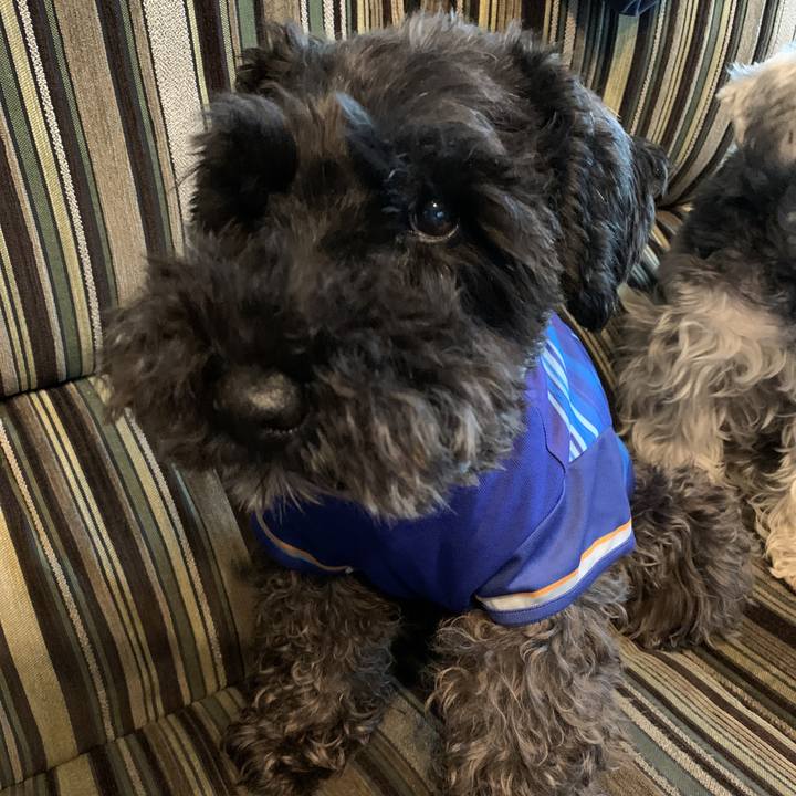 4fd67c2a b356 458d 9fec 6127fd933ba1 1596166835647